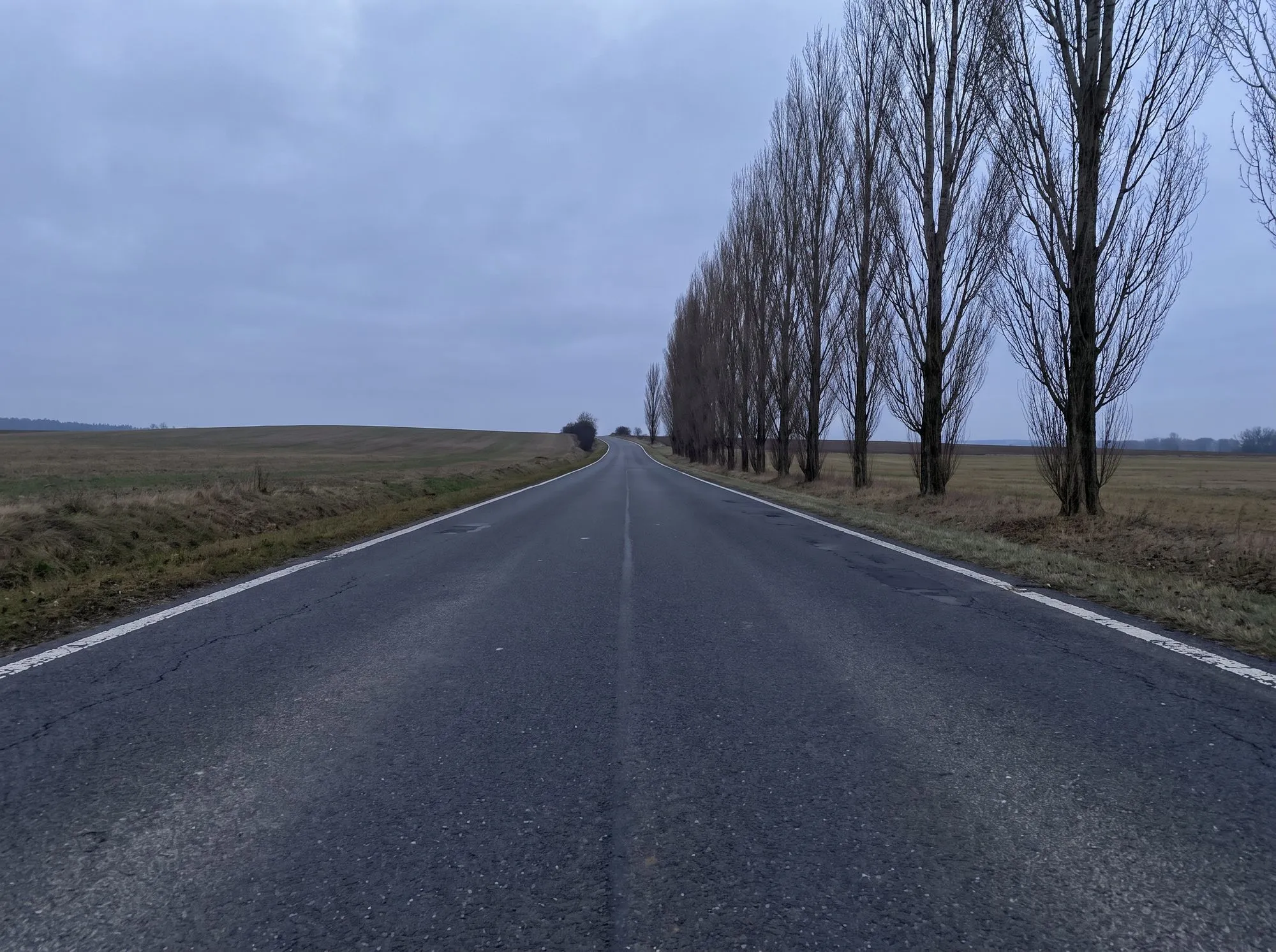 Zweispurige Landstraße durch offene Felder bei bedecktem Himmel